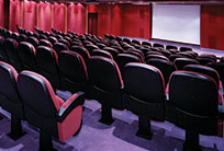 Movies at the Cinema